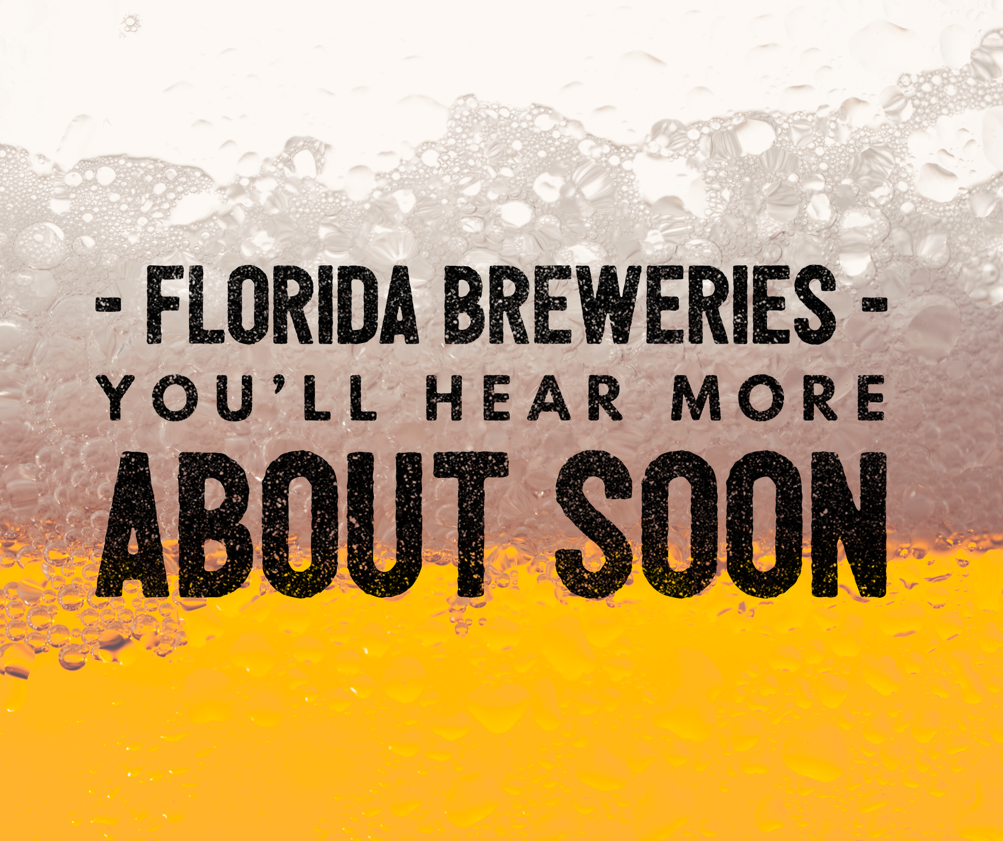 Florida Breweries headline