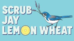 Playalinda Brewing Scrub Jay Lemon Wheat