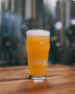 Calusa Brewing Pint