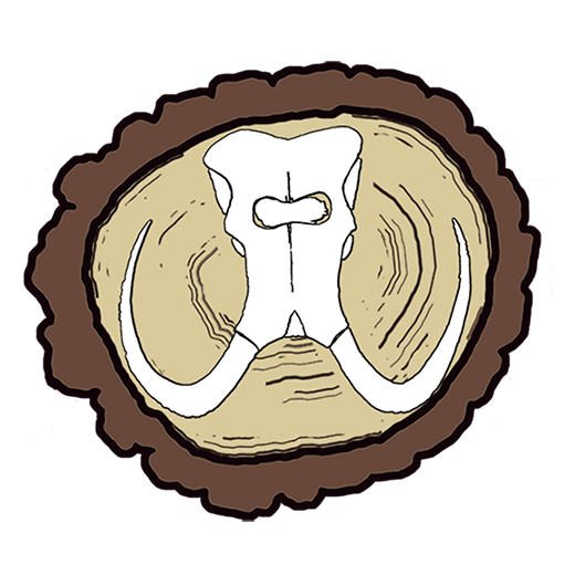 Mammoth Oak Brewing Logo