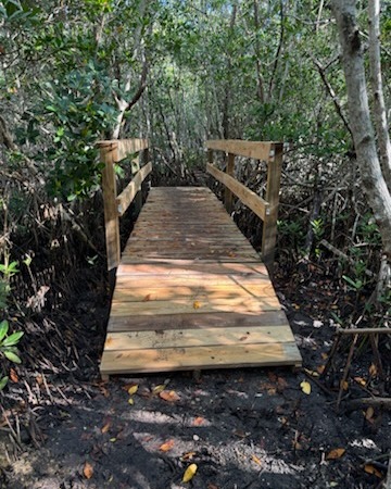 Pic of Florida trails