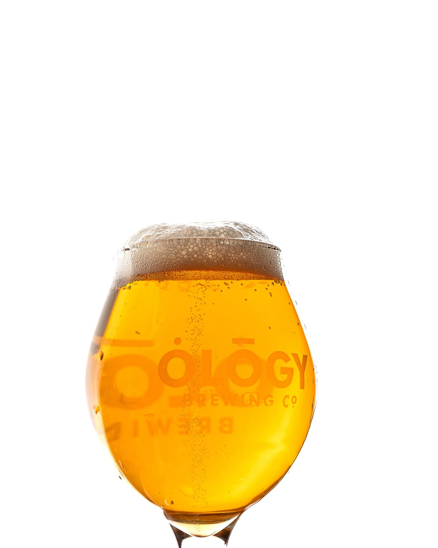 Ology Brewing Glass of beer